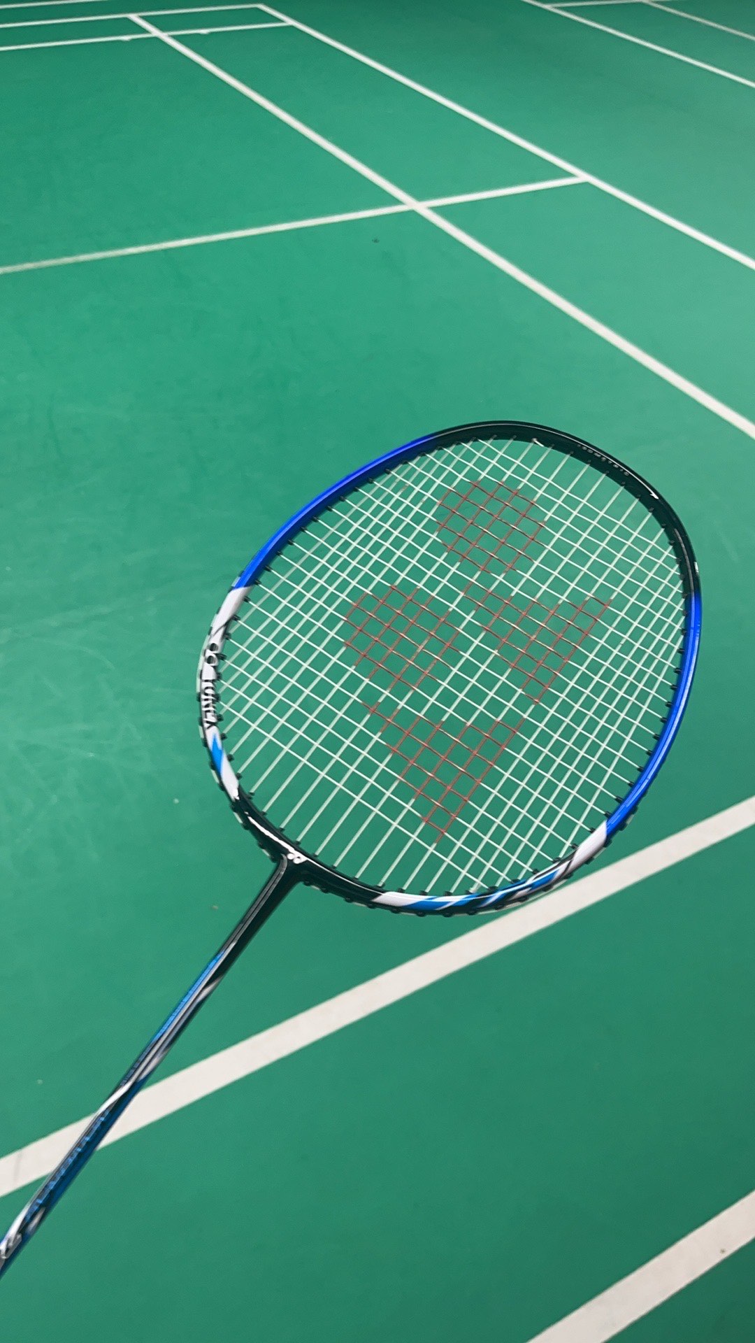 观影建议 观影建议